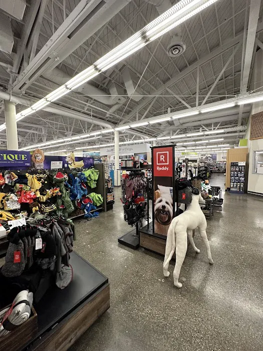 Petco Picture 3