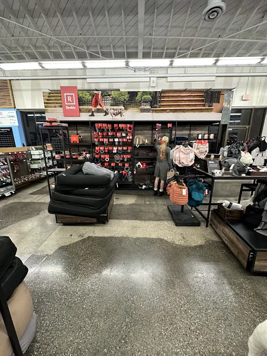 Petco Picture 7