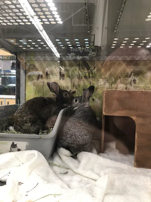 Petco Picture 5