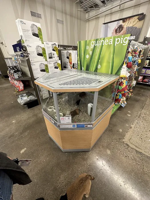 Petco Picture 6