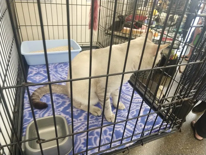 Petco Picture 9