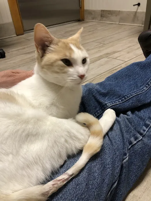 Sand Road Animal Hospital Picture 4