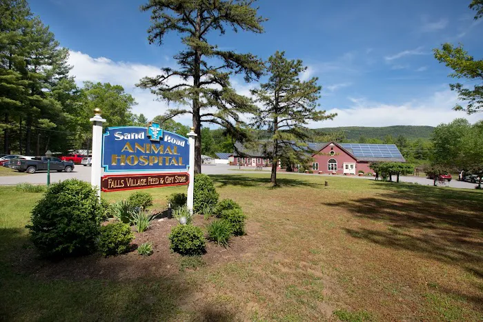 Sand Road Animal Hospital Picture 6