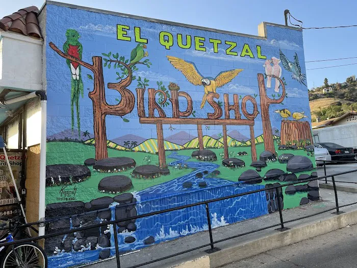 Quetzal Bird Shop Picture 7