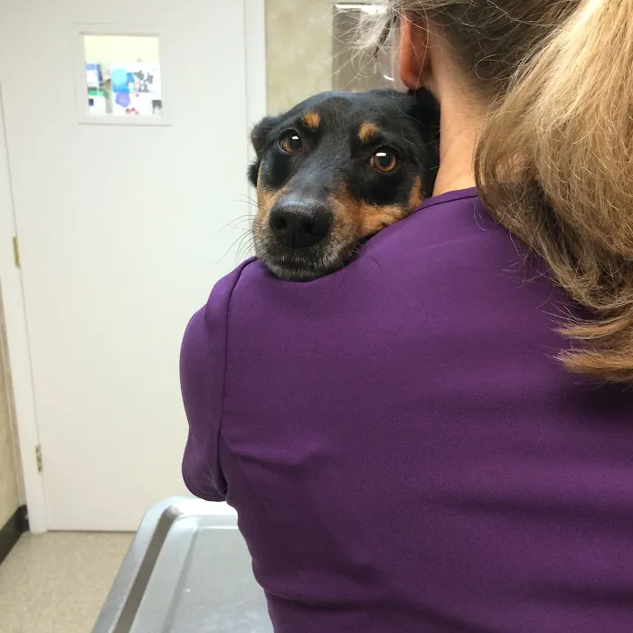 Copake Veterinary Hospital Picture 7