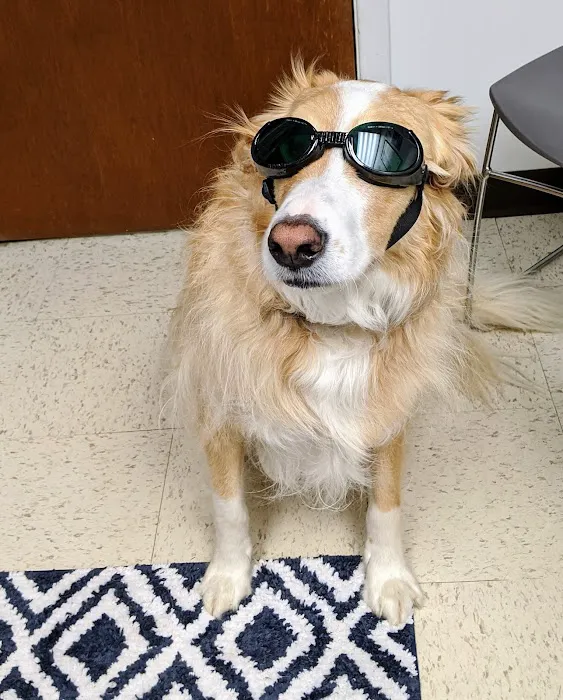 Copake Veterinary Hospital Picture 9