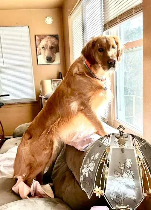 Copake Veterinary Hospital Picture 1