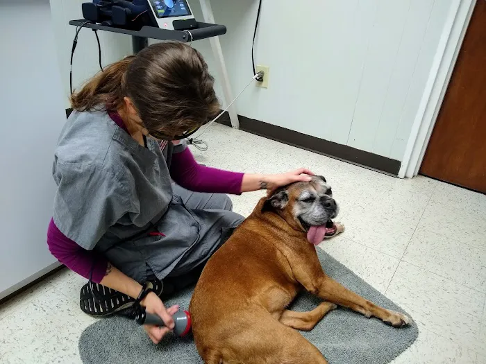 Copake Veterinary Hospital Picture 2