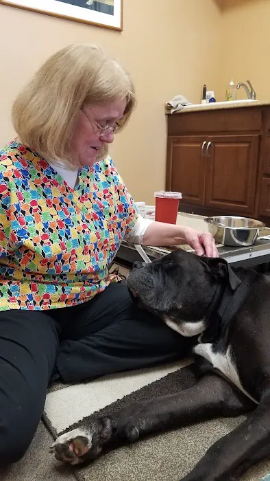 Animal Health Practice, Inc. Picture 3