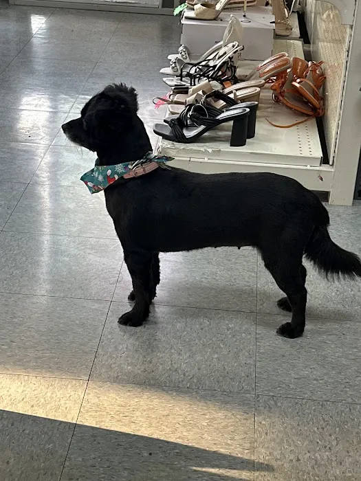 Valley Pet & Supply (+Grooming) Picture 7