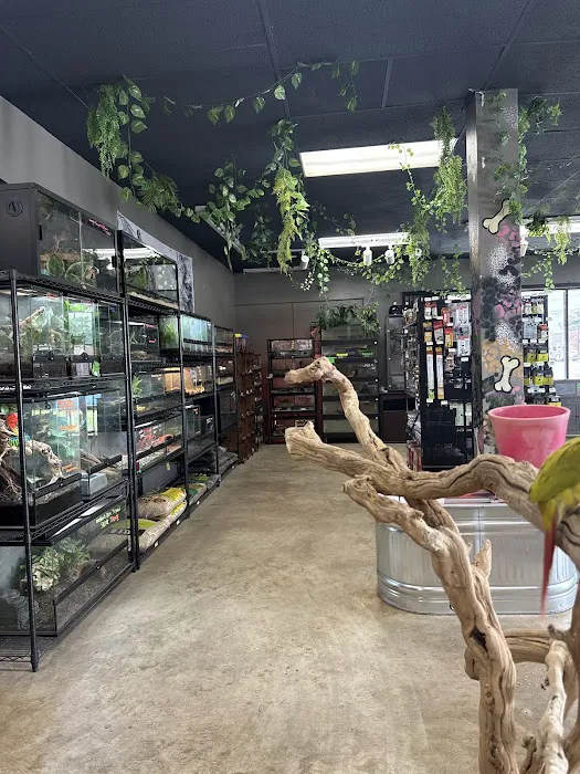 Valley Pet & Supply (+Grooming) Picture 2