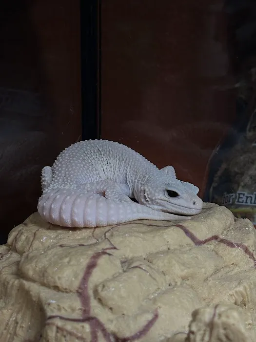 Valley Pet & Supply (+Grooming) Picture 4