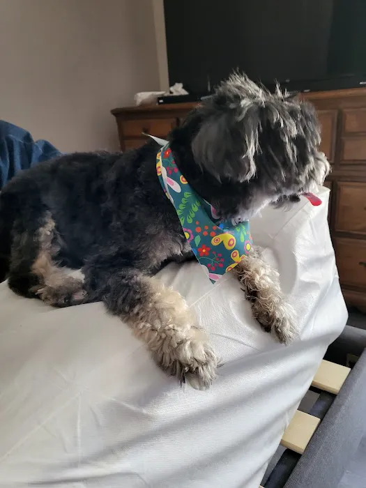 Valley Pet & Supply (+Grooming) Picture 5
