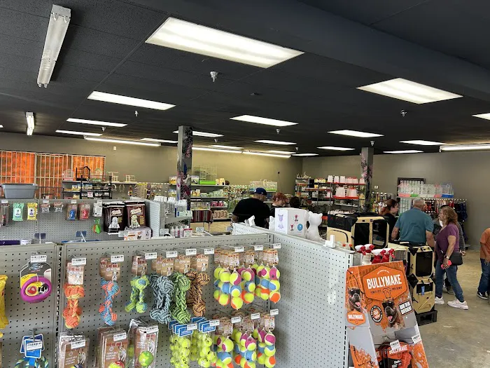Valley Pet & Supply (+Grooming) Picture 10