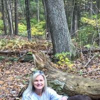 Animal Health Practice: Angela Erickson-Greco, D.V.M. ico