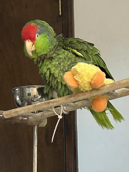 Bantam Lake Animal Hospital Picture 5