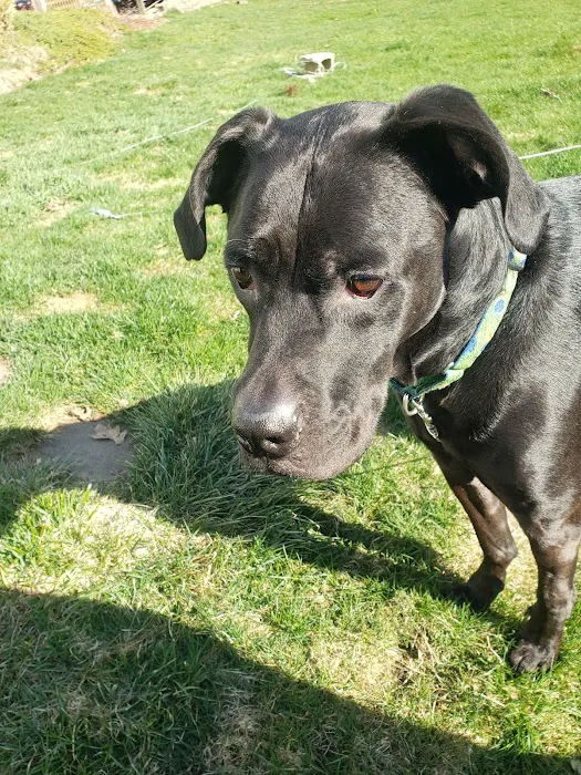 Bantam Lake Animal Hospital Picture 9