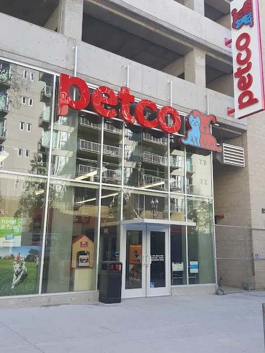 Petco Picture 2