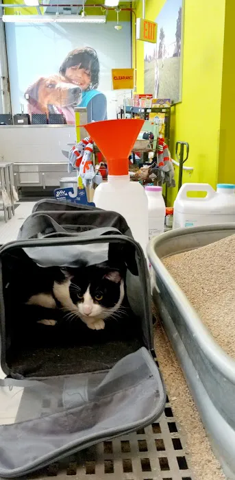 Petco Picture 4