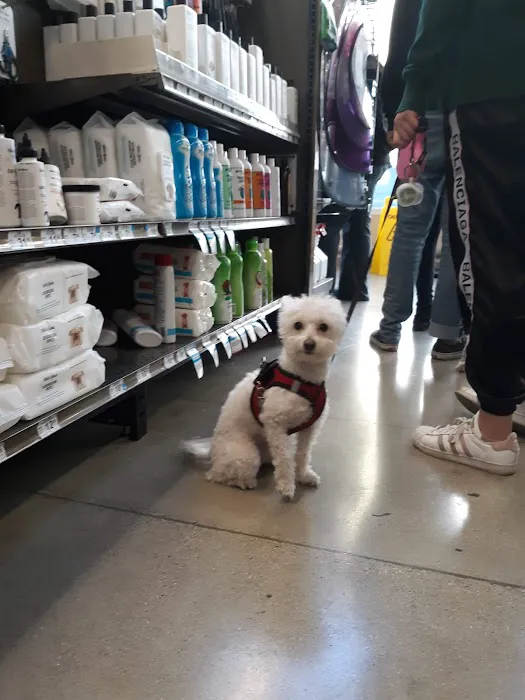 Petco Picture 6