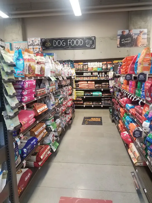 Petco Picture 7
