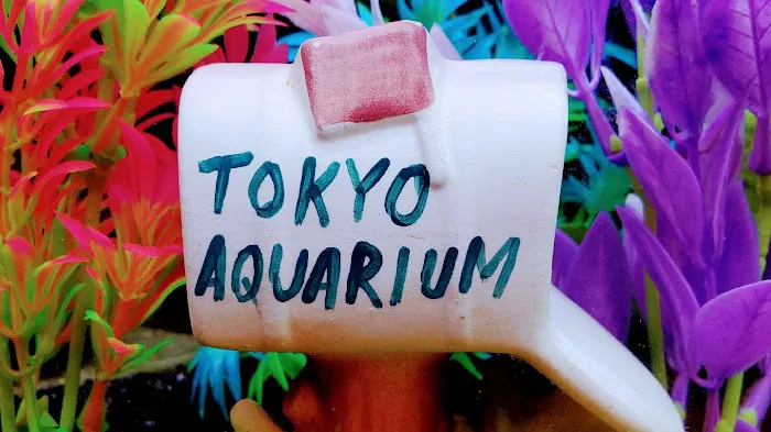 Tokyo Aquarium Picture 2