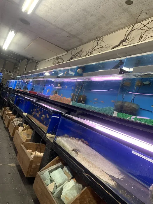 Tokyo Aquarium Picture 7