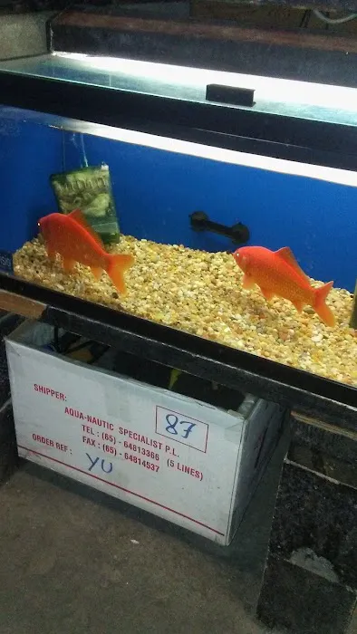 Tokyo Aquarium Picture 6