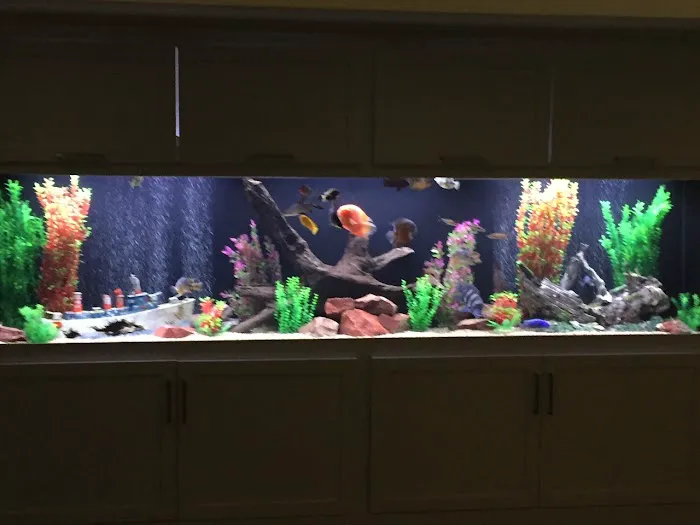 Aquatech Aquarium Service Picture 6