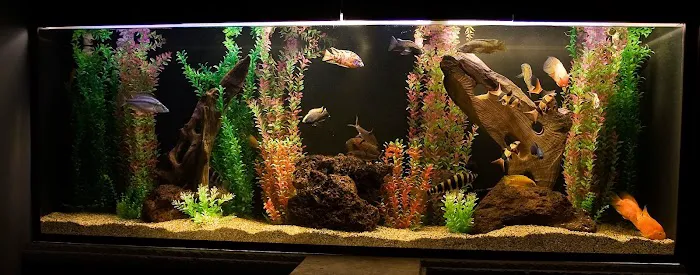 Aquatech Aquarium Service Picture 5