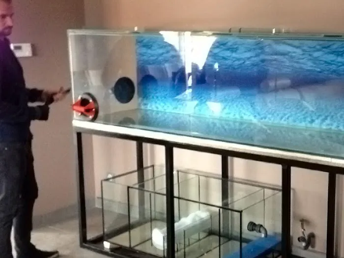 Aquatech Aquarium Service Picture 2
