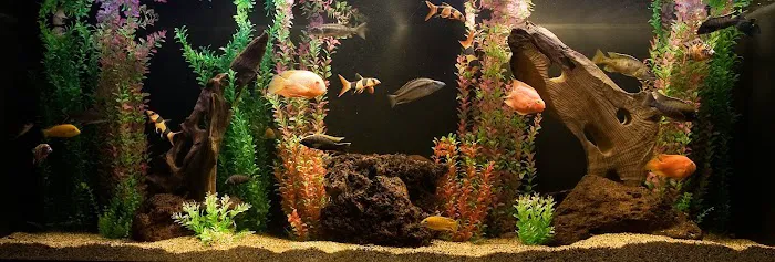 Aquatech Aquarium Service Picture 10