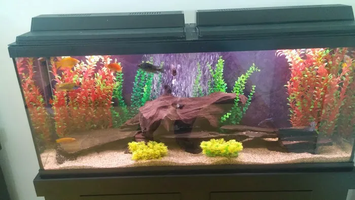 Aquatech Aquarium Service Picture 9