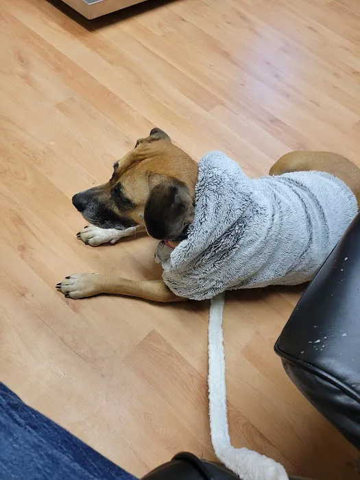Berkshire Animal Care Picture 8