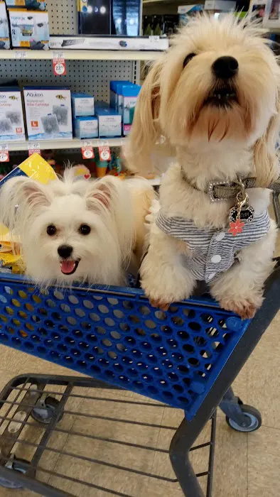 Petco Picture 8