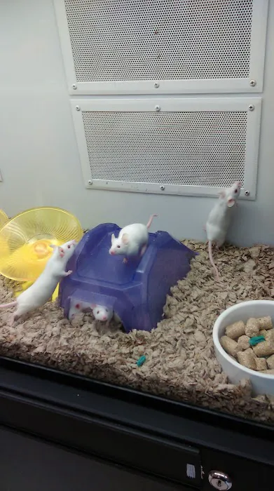 Petco Picture 5