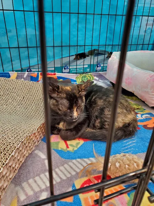 Petco Picture 10