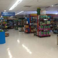 Petco ico