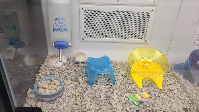 Petco Picture 4