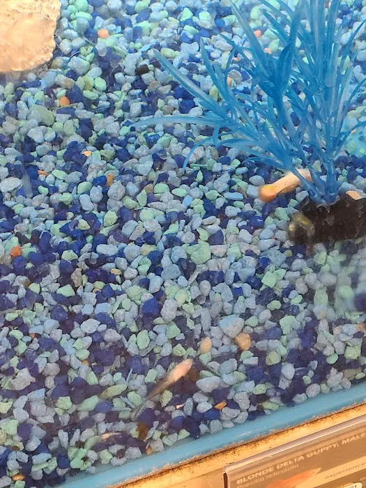 Petco Picture 2