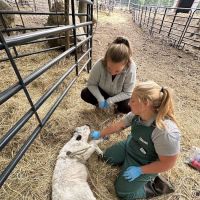 Tri-State Veterinary Services, LLC ico