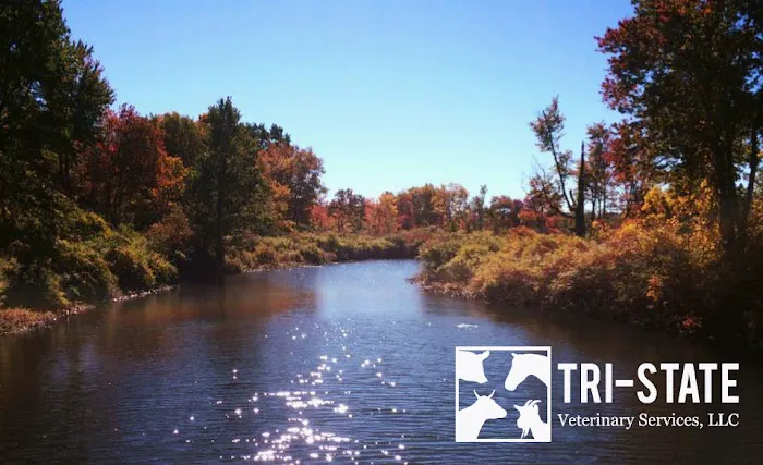 Tri-State Veterinary Services, LLC Picture 9