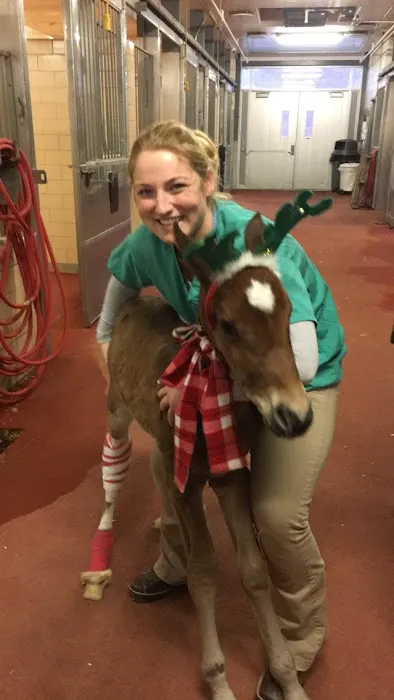 Tri-State Veterinary Services, LLC Picture 6