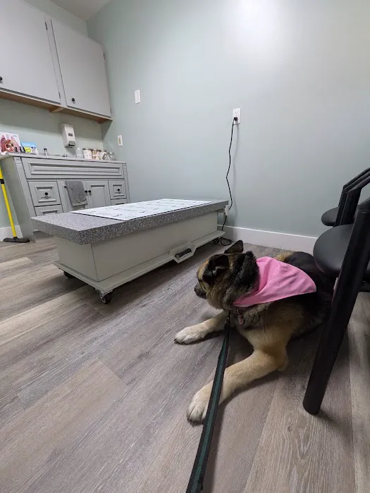 Forest Ridge Veterinary Hospital Picture 1