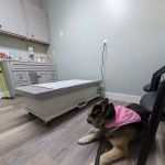 Forest Ridge Veterinary Hospital