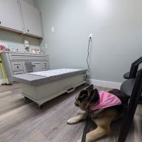 Forest Ridge Veterinary Hospital ico