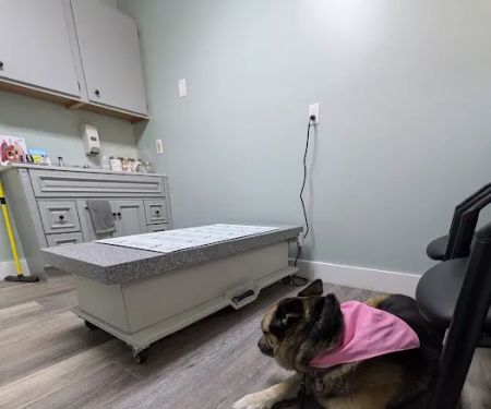 Forest Ridge Veterinary Hospital