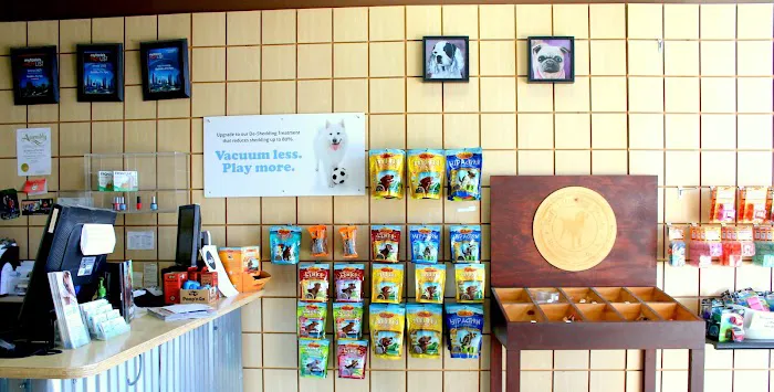 Bubbles Pet Spa Picture 1