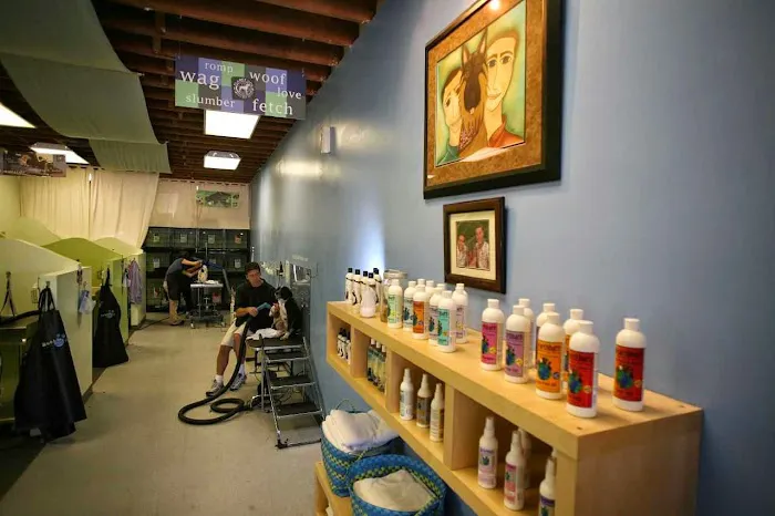 Bubbles Pet Spa Picture 10