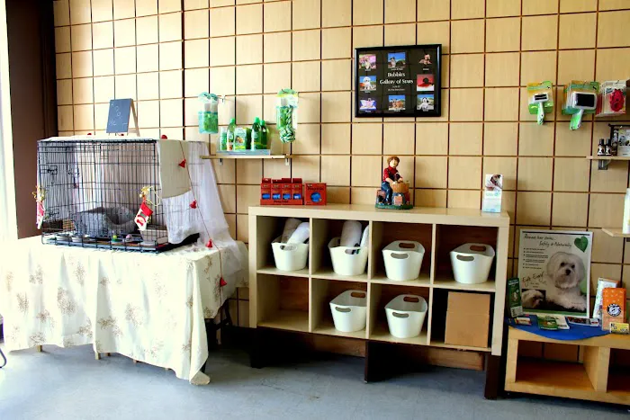 Bubbles Pet Spa Picture 4